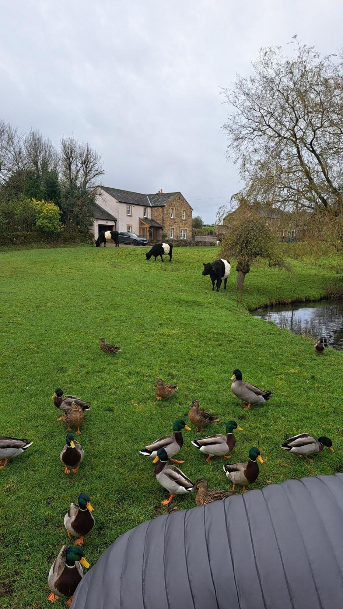 Church House Barn Lake District & Solway Coast With Solway Firth Views Silloth Exteriör bild